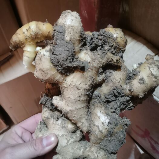 安丘市有需要的联系，库姜