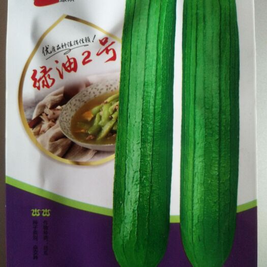 寿光市丝瓜种子绿油2号920丝瓜种色泽好卖价好丝瓜种籽大田基地农