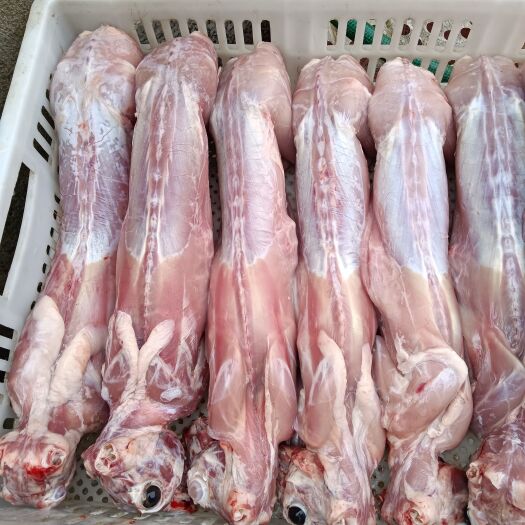 阜阳兔肉类  兔肉