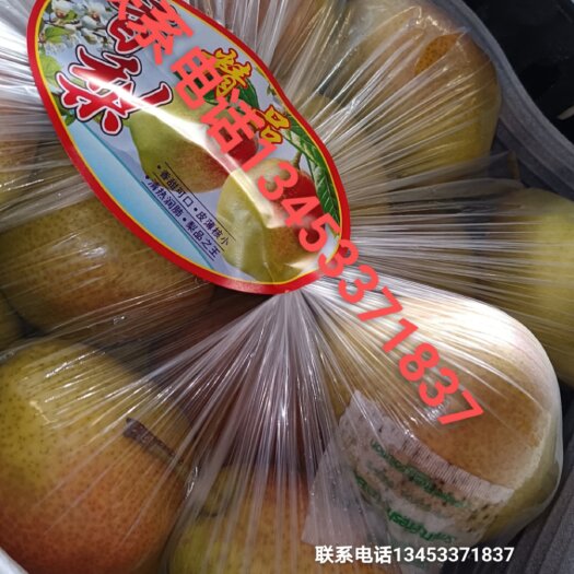 临猗县红香酥