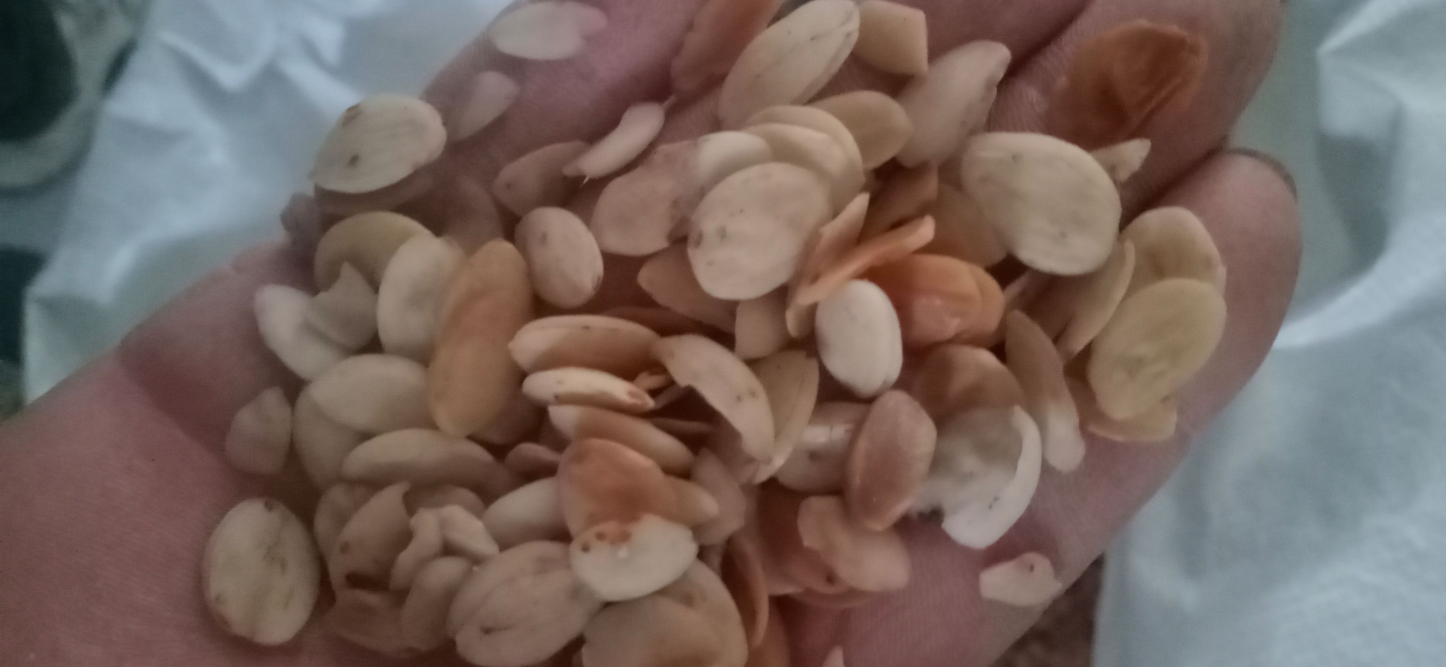 【桃仁】产地家桃仁一手货源大货供应规格齐全量大优惠。