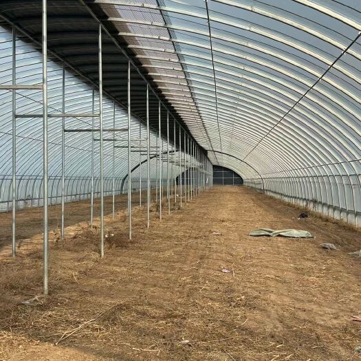 天津大棚   种植大棚 大棚骨架 西瓜棚