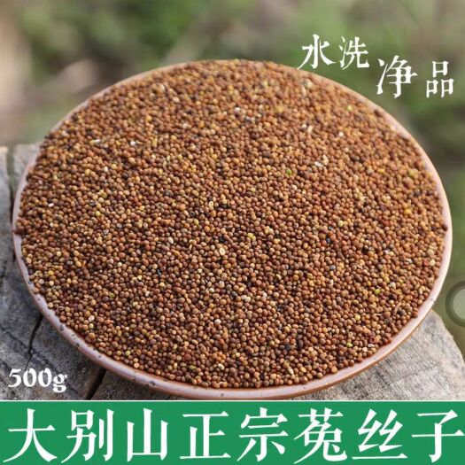 菟丝子 干净 可供大货 量大从优 地道中药材 产地直发