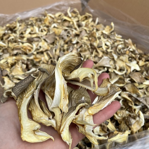 聊城蘑菇干