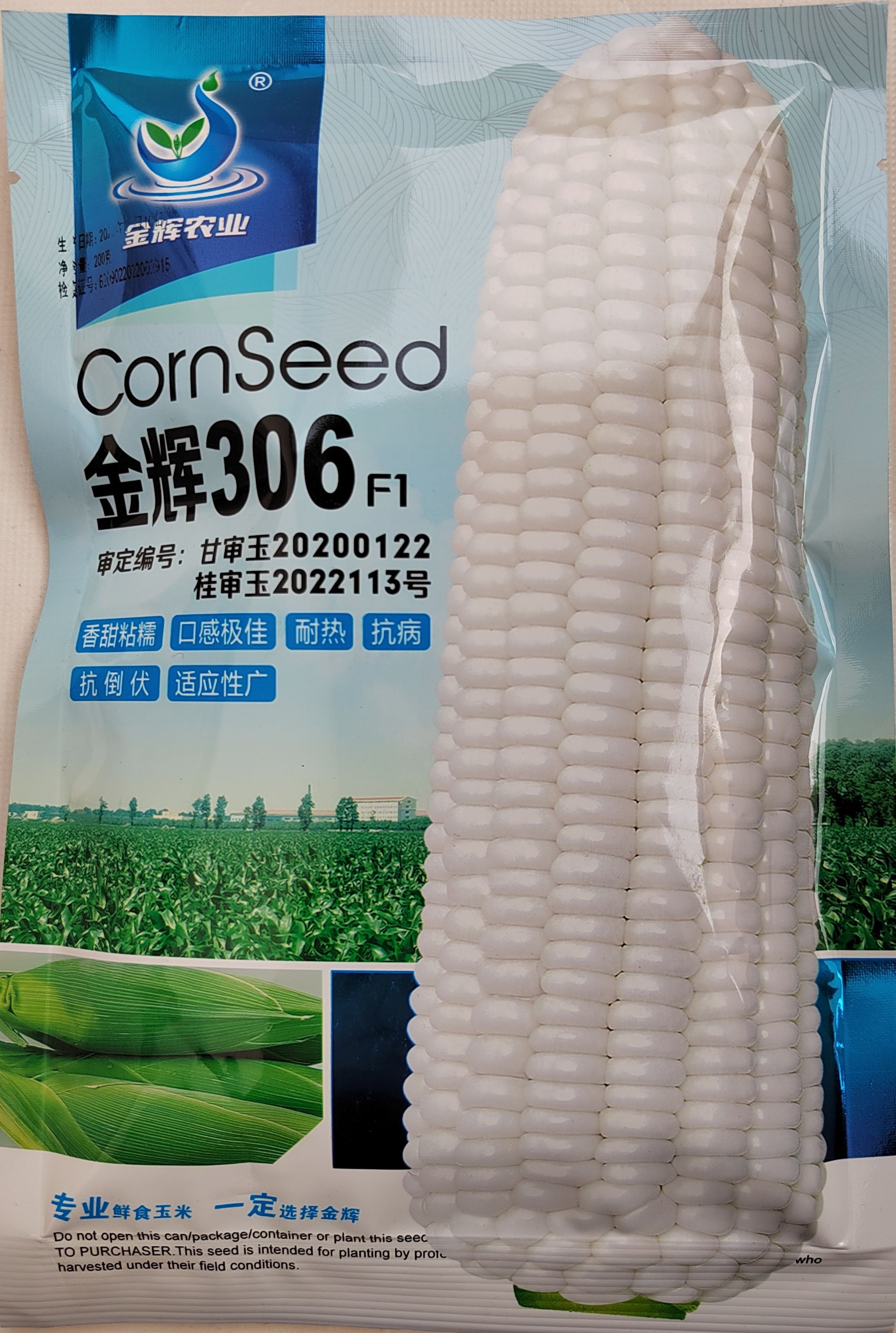 济南甜味糯玉米品种金辉306白糯玉米的新类型