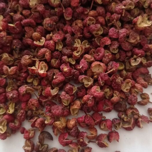 鄄城县花椒 大红袍花椒 现货供应 一手货源 各种香辛调料 鲁赣药材