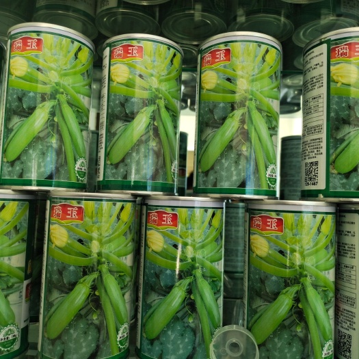 陆良县瑞玉西葫芦