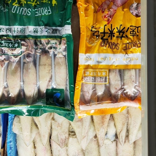 济南全籽籽乌 笔管鱼