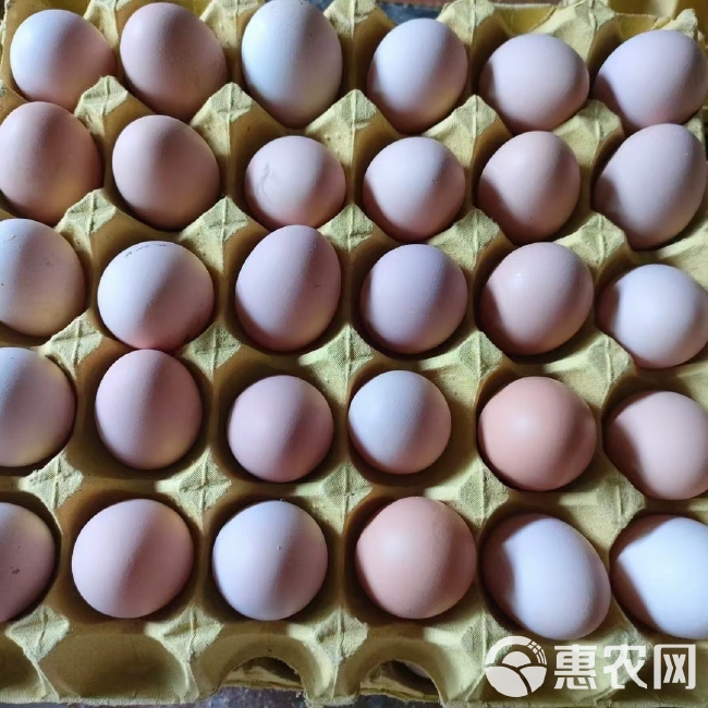 湖北武汉 双色土鸡蛋 新扬黑 粉八 大码10—11个头一斤