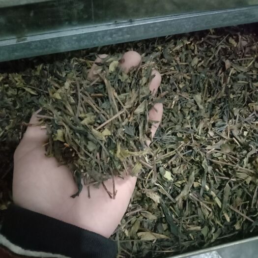 汕头茶