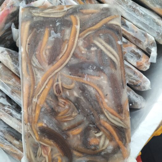 上海黄鳝丝冻品。