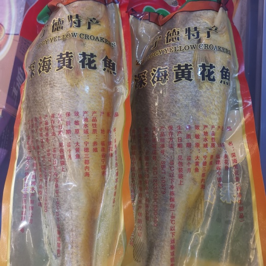 大黄花鱼