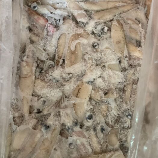 福州福建福州马尾区整只鱿鱼水产软体类批发