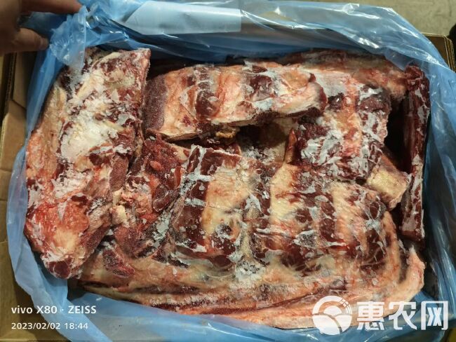 18厂牛小排 肉多排大白膘 黄膘 酱骨自助佳品 量大从优