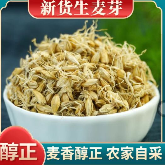 亳州生麦芽 炒麦芽 中药材大麦芽  无硫干货 现货批发 量大从优