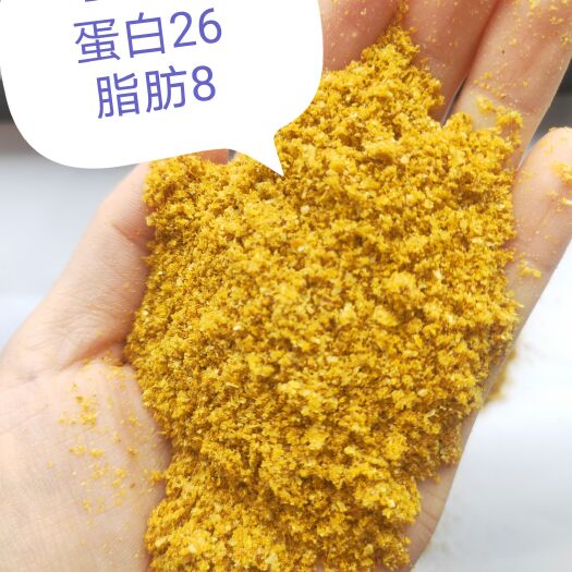 正定县玉米酒糟 DDGS