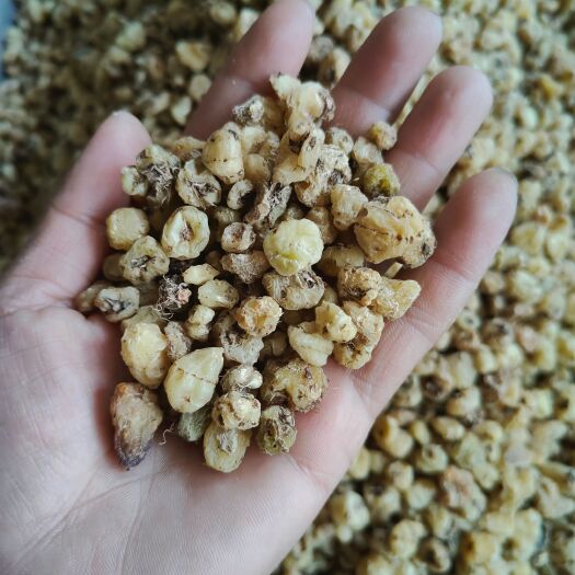 思茅云南普洱圆白及干货