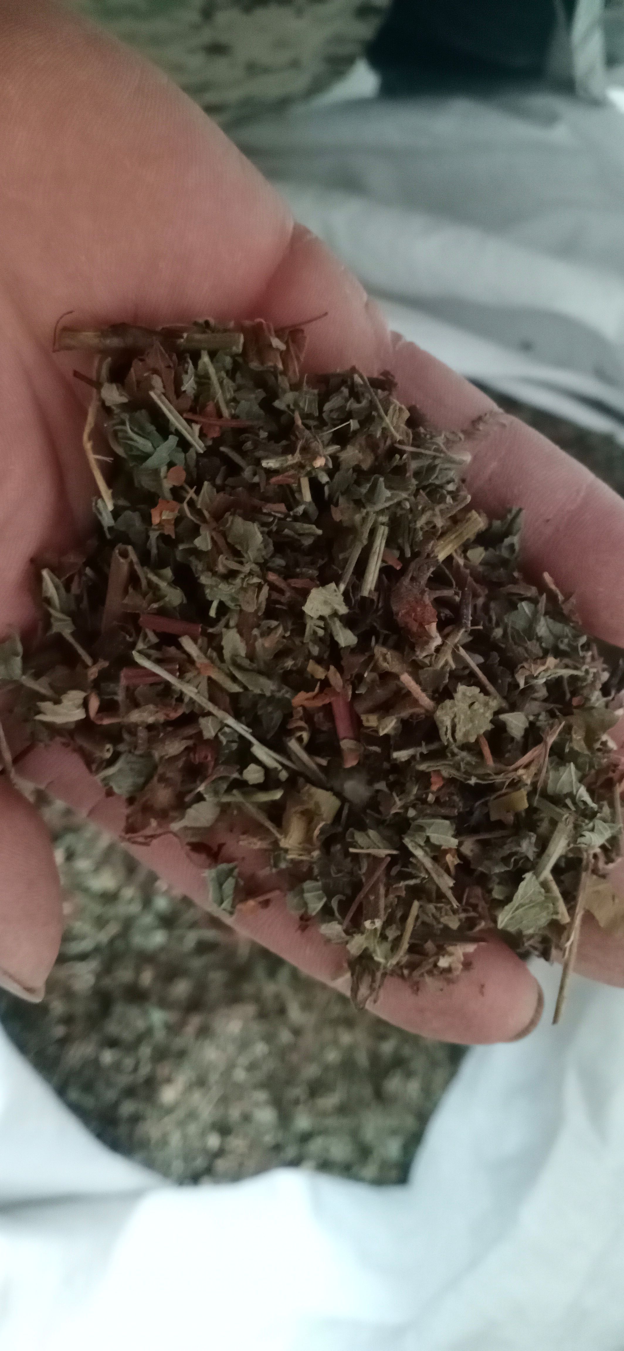 【仙鹤草】产地一手货源大货供应规格齐全量大优惠。