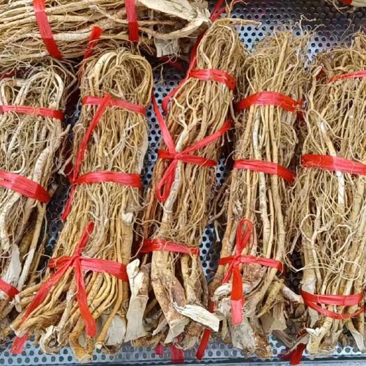 容县五指毛桃