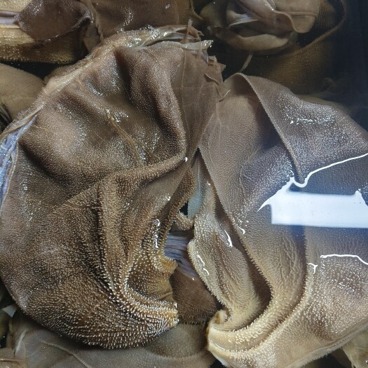 重庆市牛肚 大叶片毛肚