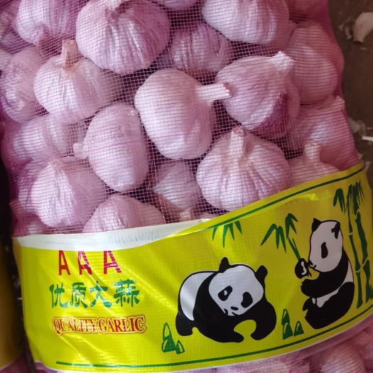 紫皮蒜