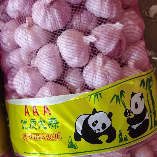 金乡县紫皮蒜