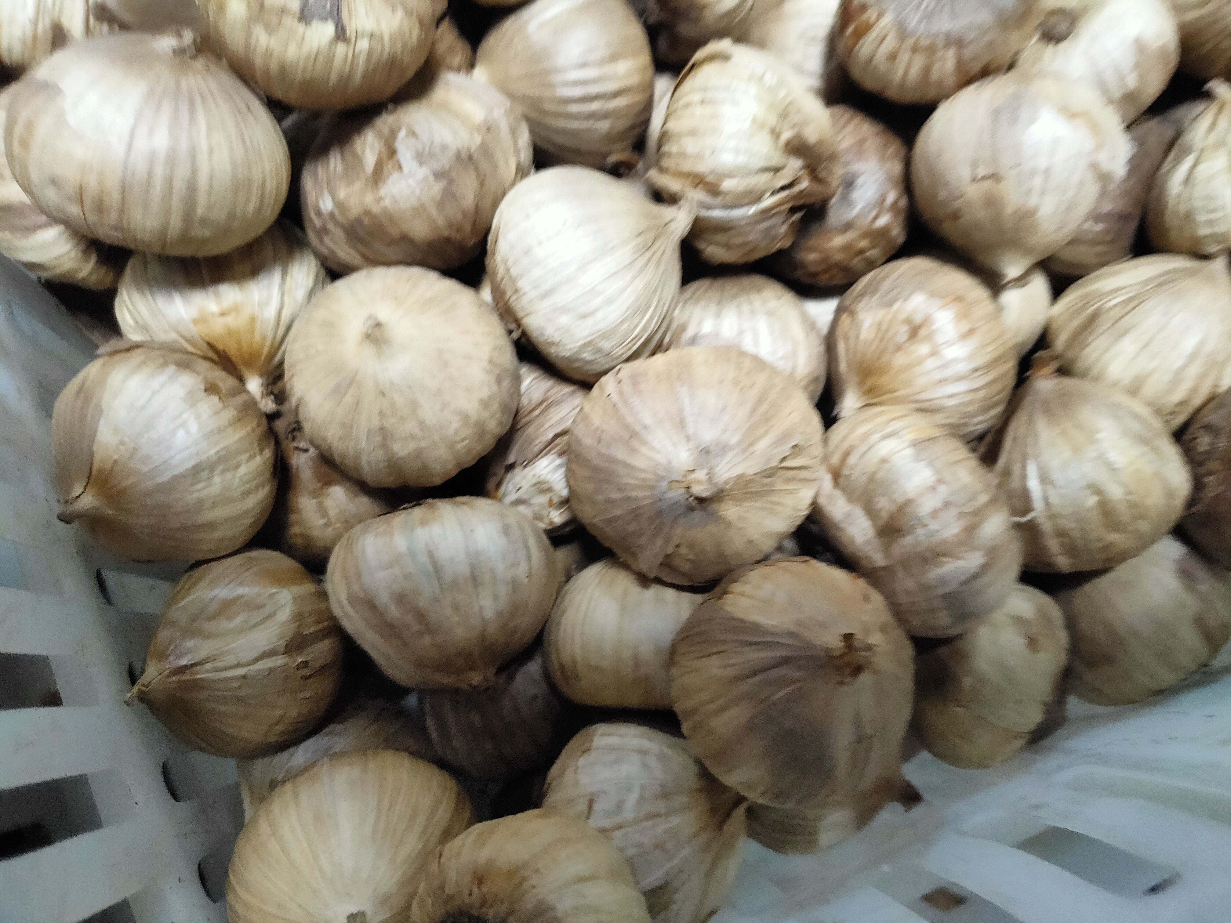 厂家搞活动【抢购】【店长推荐】出口级精品独头黑蒜