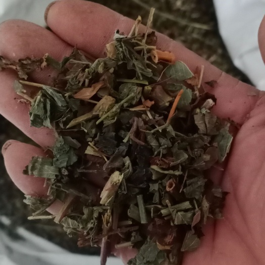 【仙鹤草】产地一手货源大货供应规格齐全量大优惠。