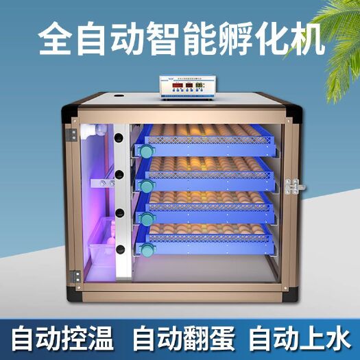 孵化器全自动孵化机智能小型鹌鹑孵化箱家用型