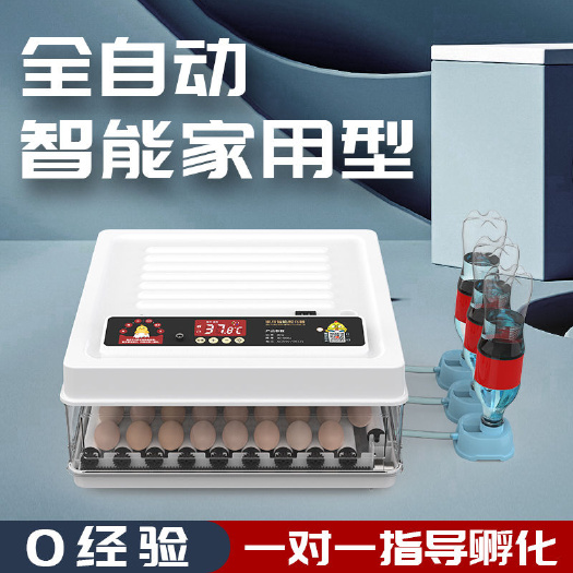 广州全自动孵化器小型家用孵化机小鸡孵蛋器