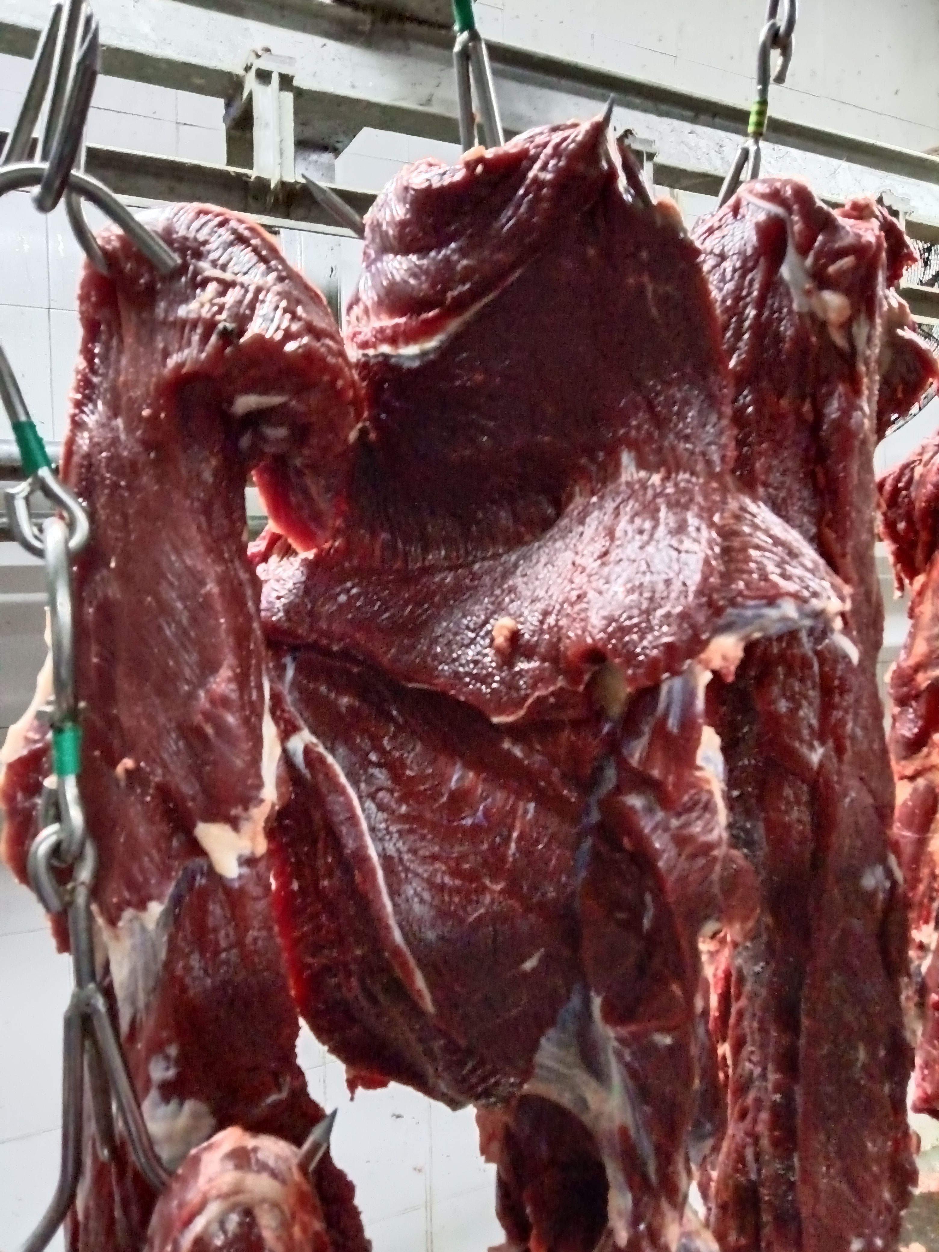 鲜牛肉。现宰。屠宰场每日现宰。。新鲜货。。。。。。。。。。。