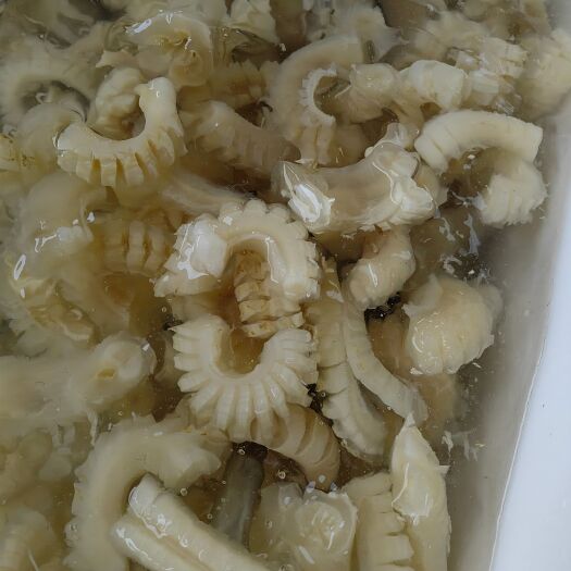 成都牛鞭花厂家直 销新鲜冷冻火锅食材四川重庆特产火锅食材商用批发