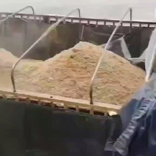 南宁新鲜珠江干水啤酒细糟
