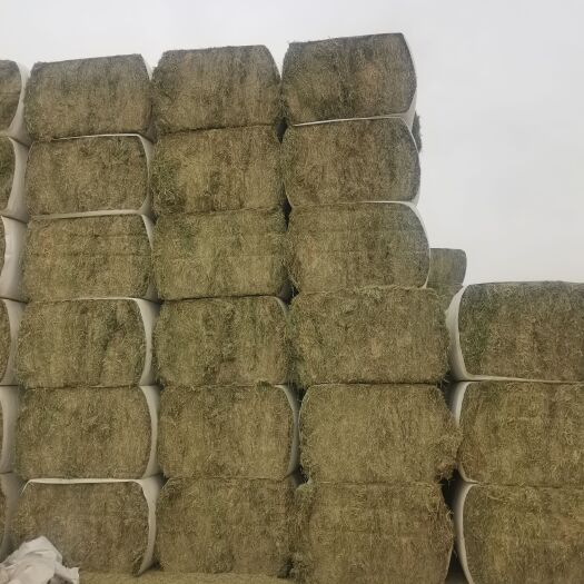 金昌牲畜草料，苜蓿草料，玉米秸秆，燕麦草，小麦草，玉米