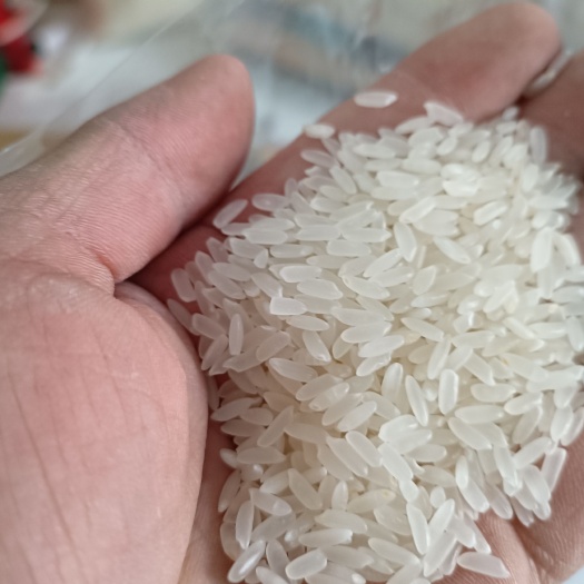 林口县东北黑土地香米