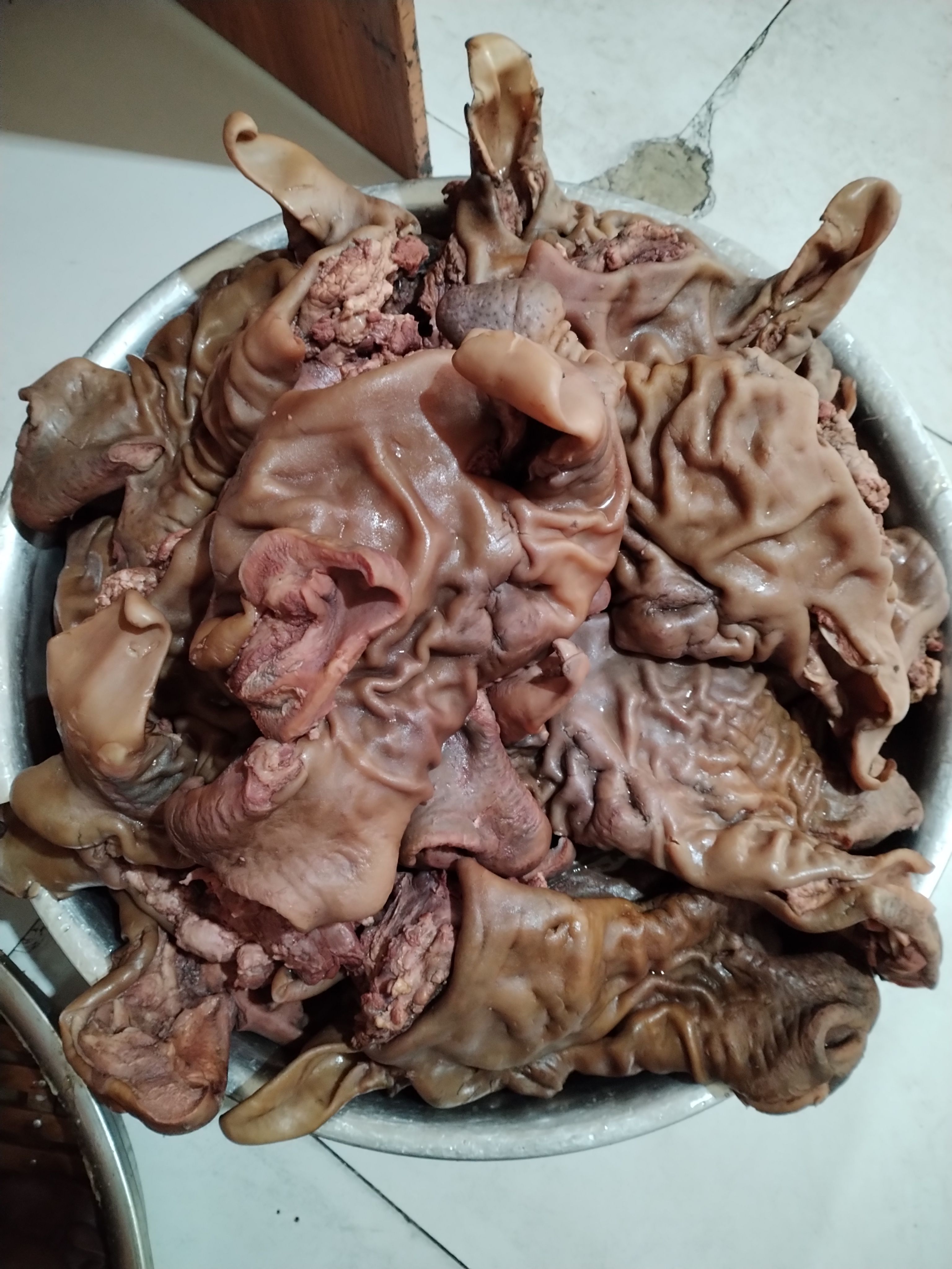 马肉  熟马肉  腱子肉  板肠  套肠  ***