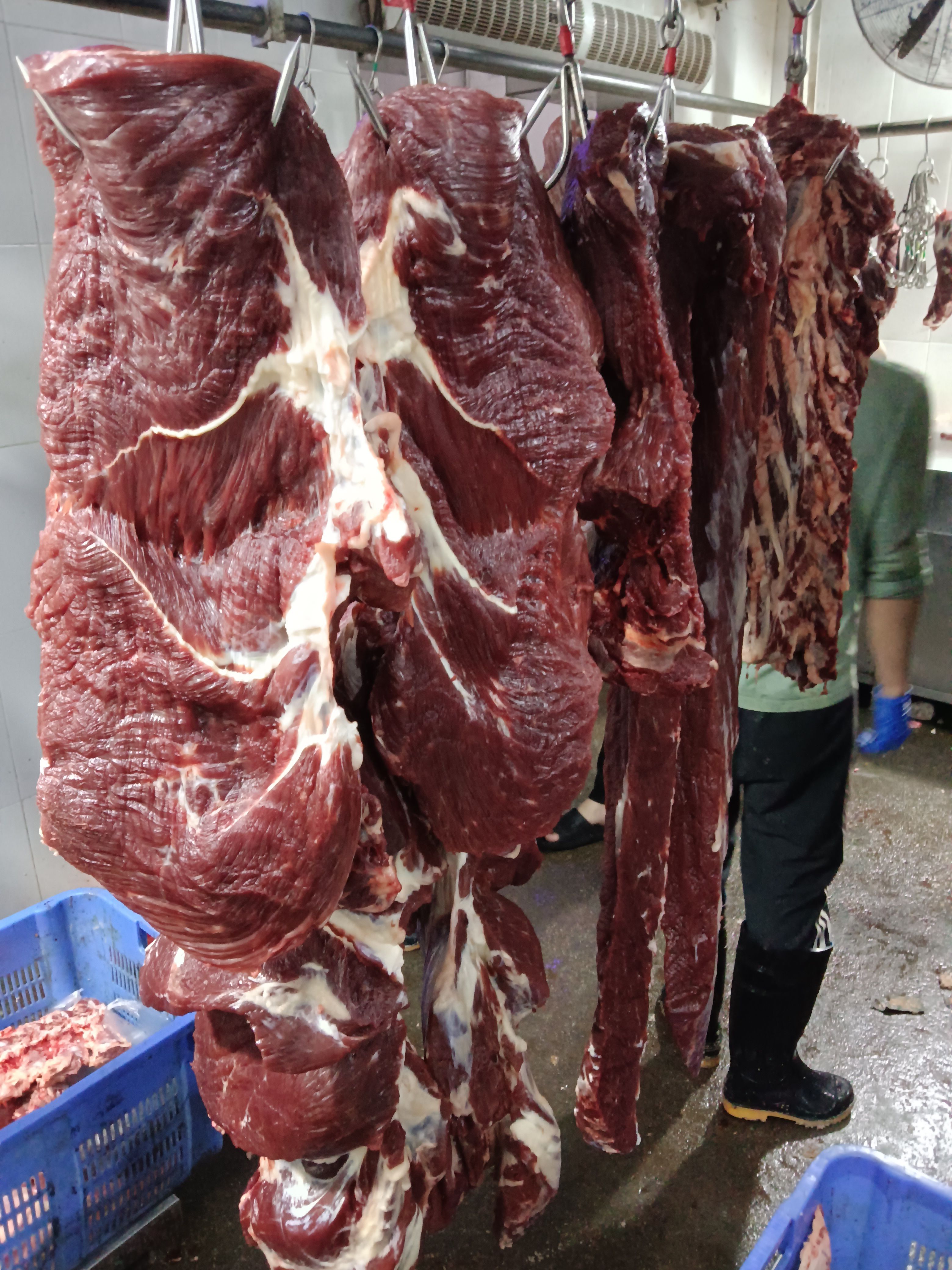 鲜牛肉。现宰。屠宰场每日现宰。。新鲜货。。。。。。。。。。。