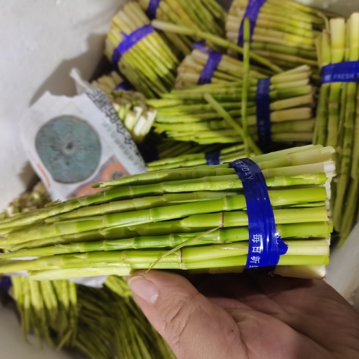 永州小笋子有货了
