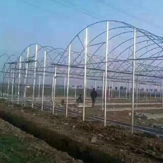 睢宁县连栋大棚 种植大棚 养殖棚  圆管 椭圆管 方矩管