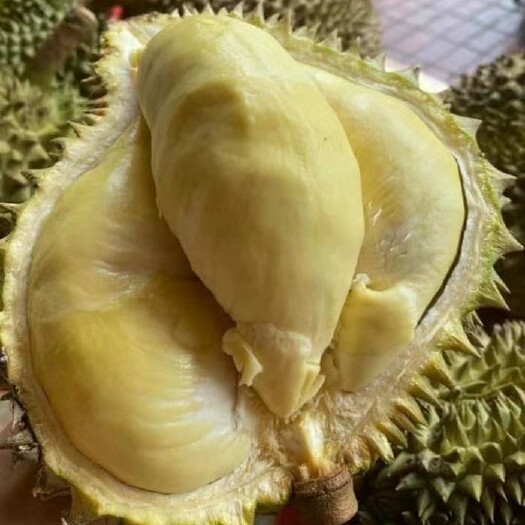 凭祥市榴莲 金枕A果越南产地直发