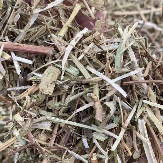正定县花生秧