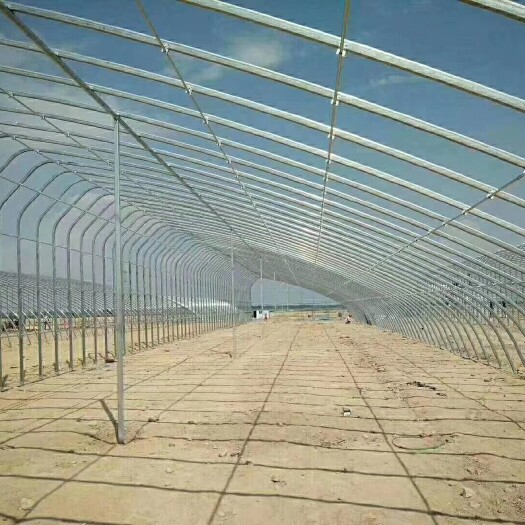 睢宁县种植大棚 养殖大棚 圆管 椭圆管 连栋棚 玻璃温室 方矩管
