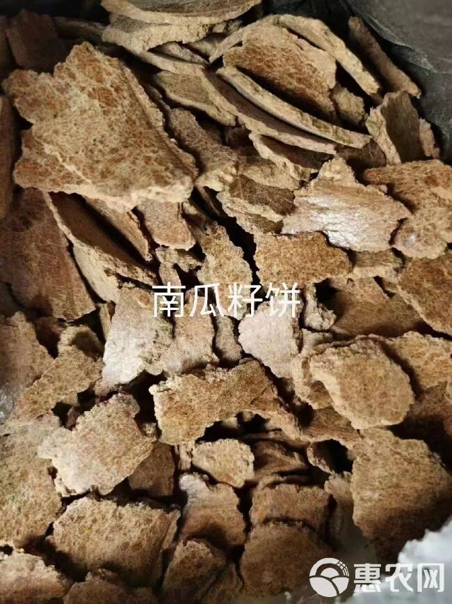 南瓜籽饼