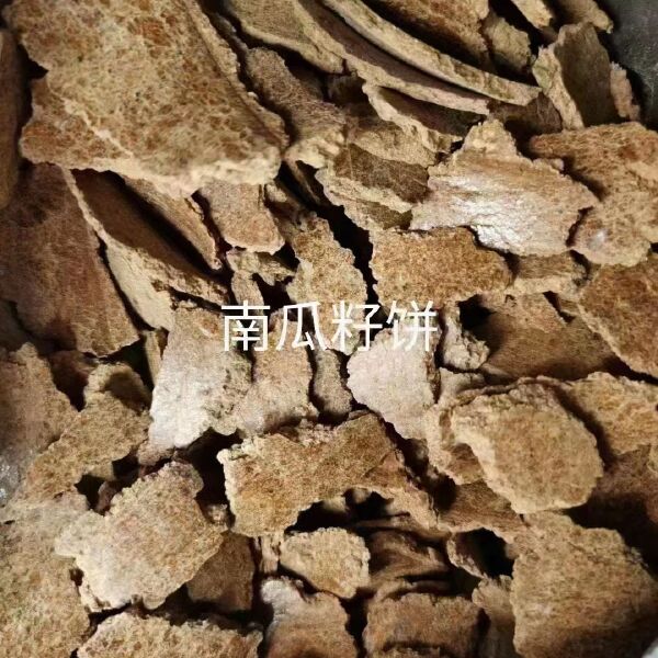 南瓜籽饼