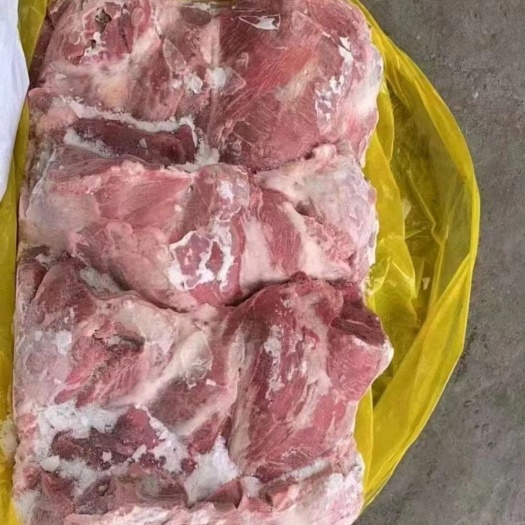 母猪前驳