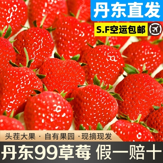 丹东丹东东港九九草莓低价销售包邮