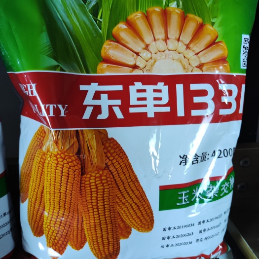 沈阳东单1331