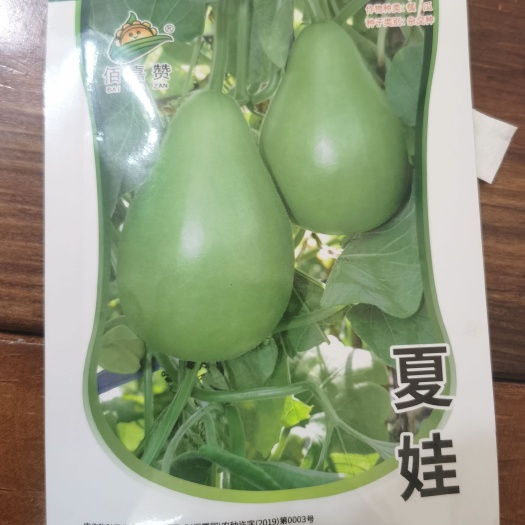 南靖县夏娃瓠瓜中熟，灯泡型瓜色翠绿有光泽，肉白色，丰产性好商品性好