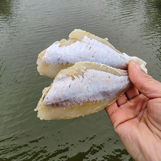 北海剥皮目鱼干红目链新鲜扒皮鱼目鱼肉海鲜特产干货