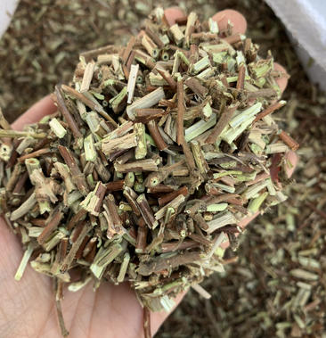 忍冬凉茶
